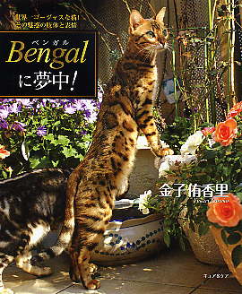 Bengalに夢中！