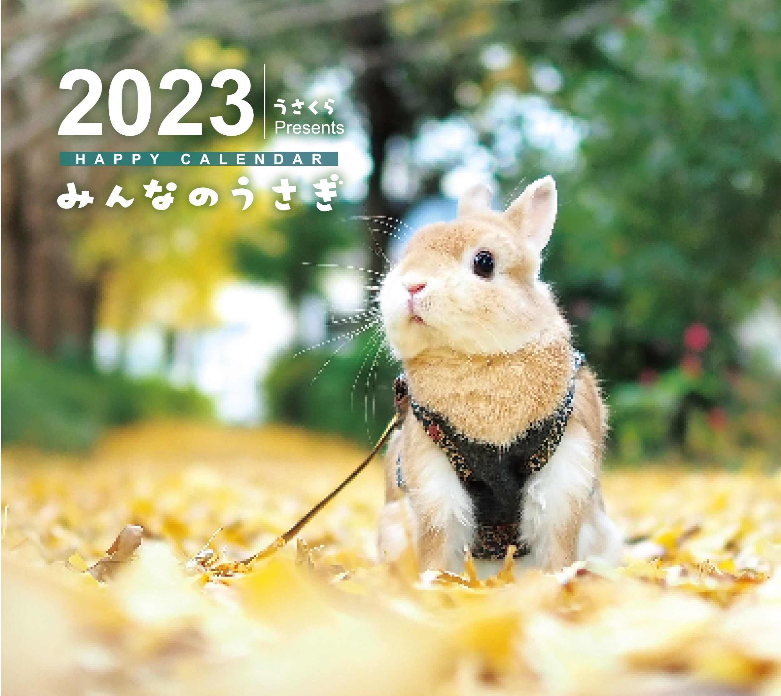 みんなのうさぎ　HAPPY　CALENDAR2023