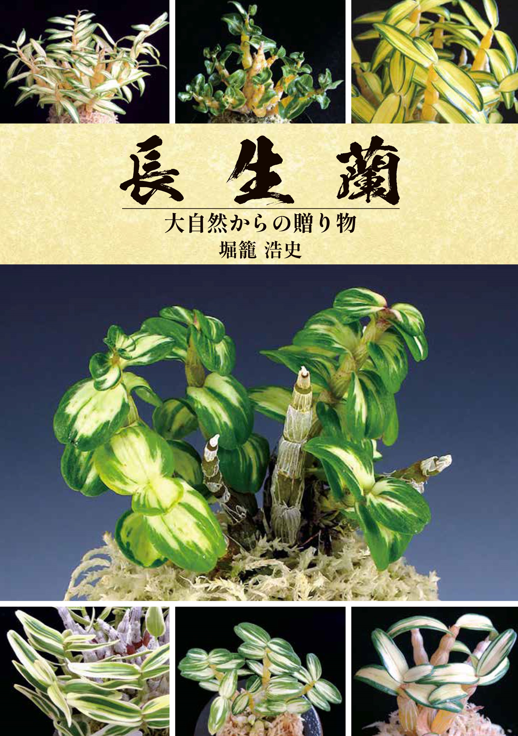 長生蘭 大自然からの贈り物 | メディアパル