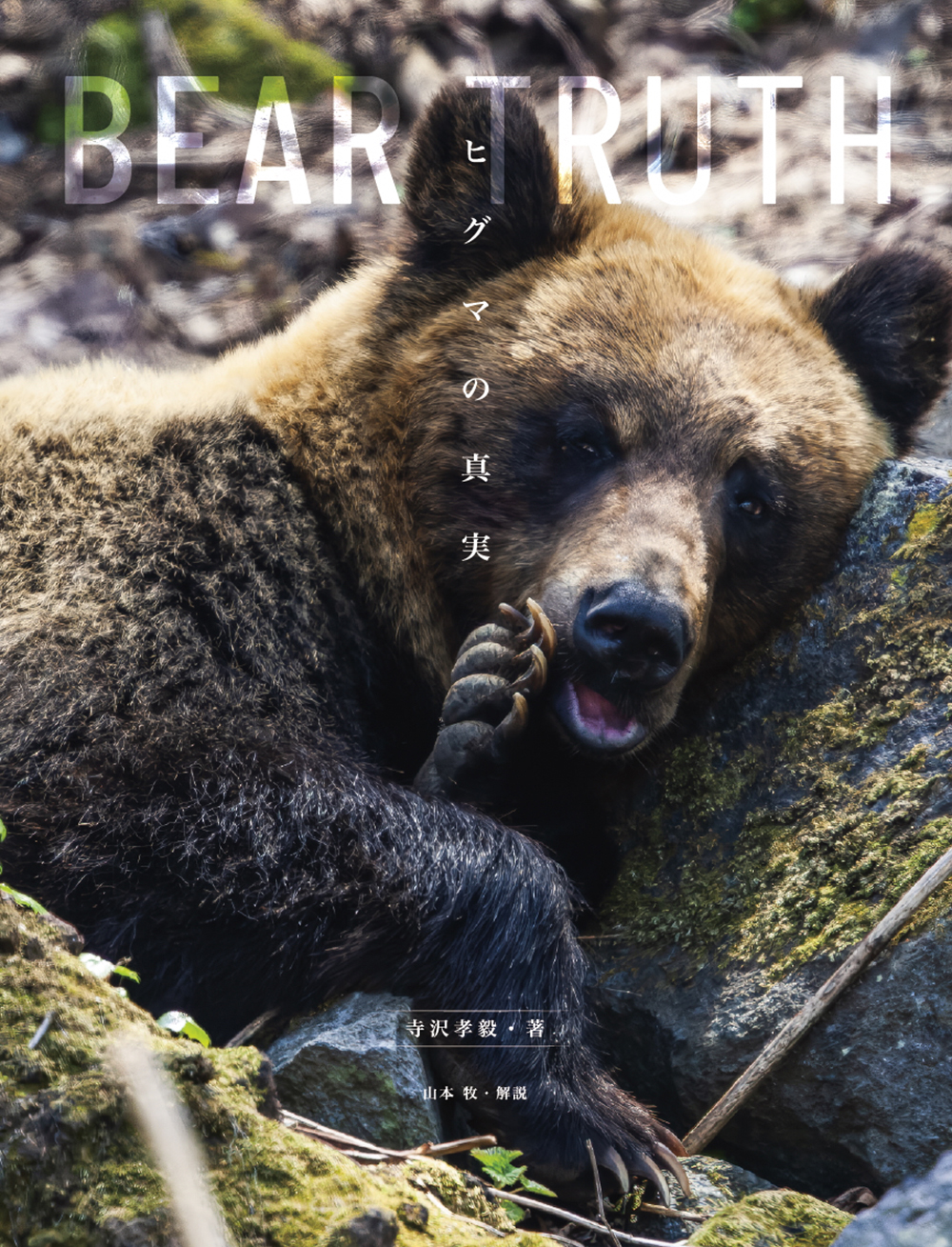 BEAR TRUTH　ヒグマの真実