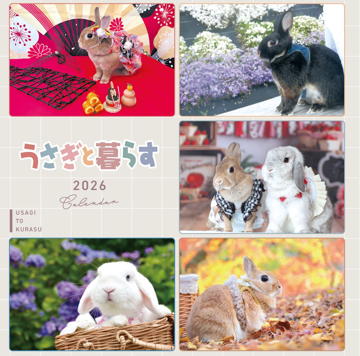 うさぎと暮らすCALENDAR2025 | メディアパル