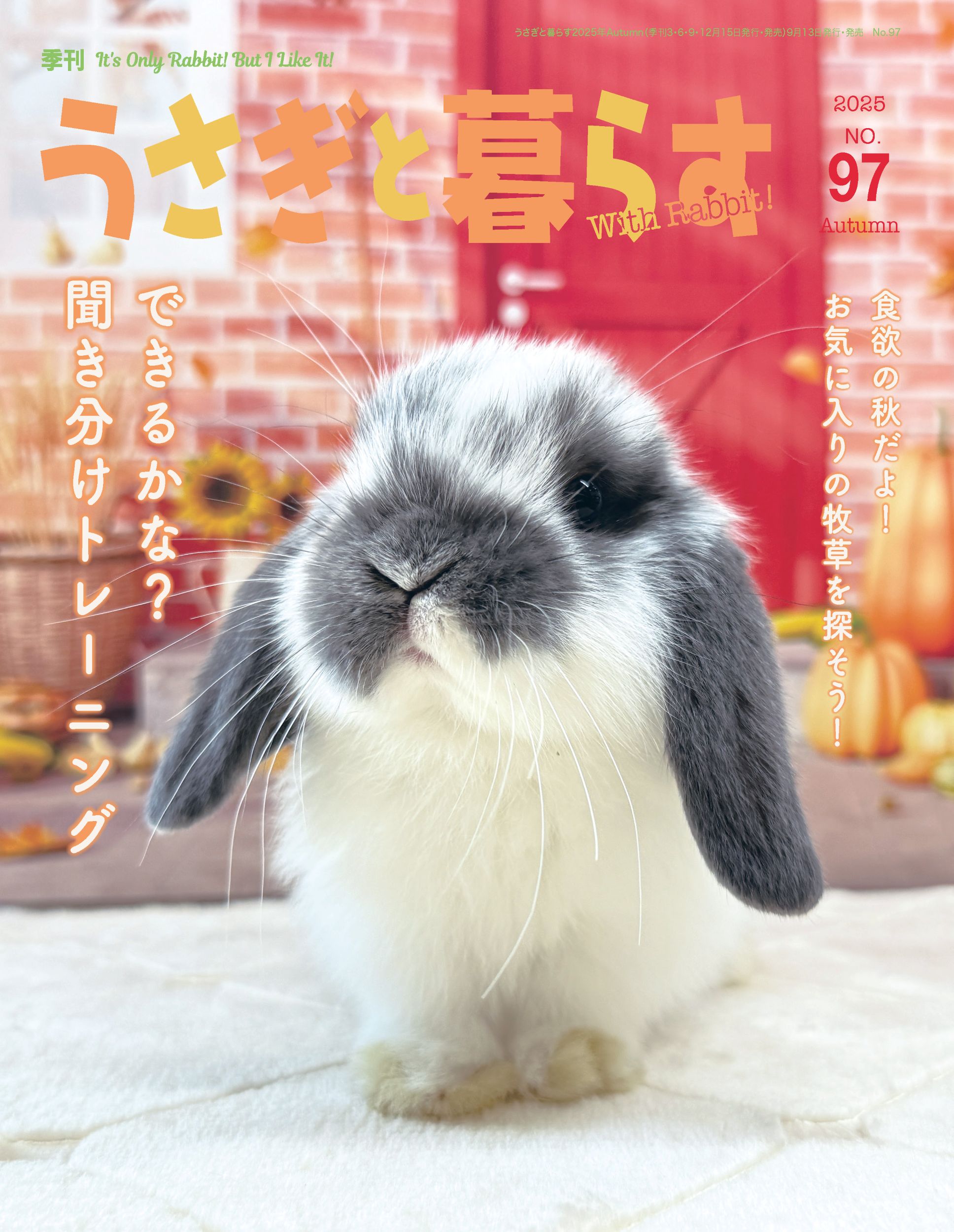 うさぎと暮らす　No97（2025年Autumn）