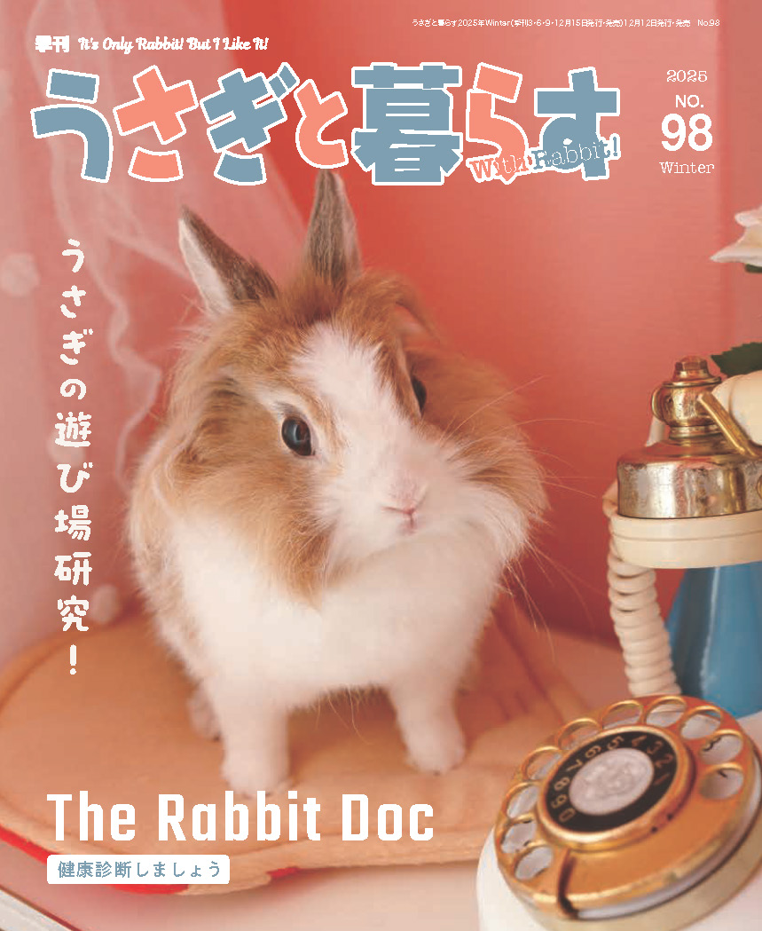 専用】こめうさぎ様3点おまとめ うさぎさんとつみきの3点セット 