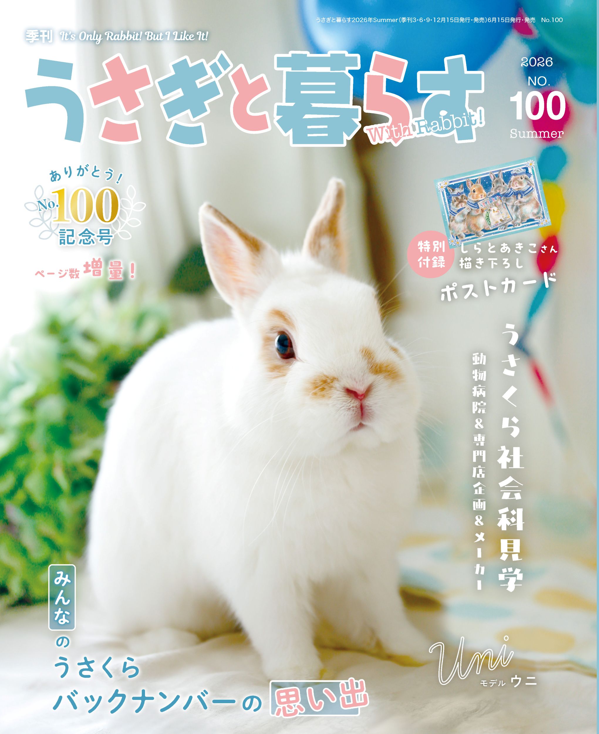 脱力ウサギ様 リクエスト 6点 まとめ商品 普通郵便 脱力ウサギ様 
